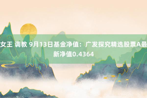 女王 调教 9月13日基金净值：广发探究精选股票A最新净值0.4364